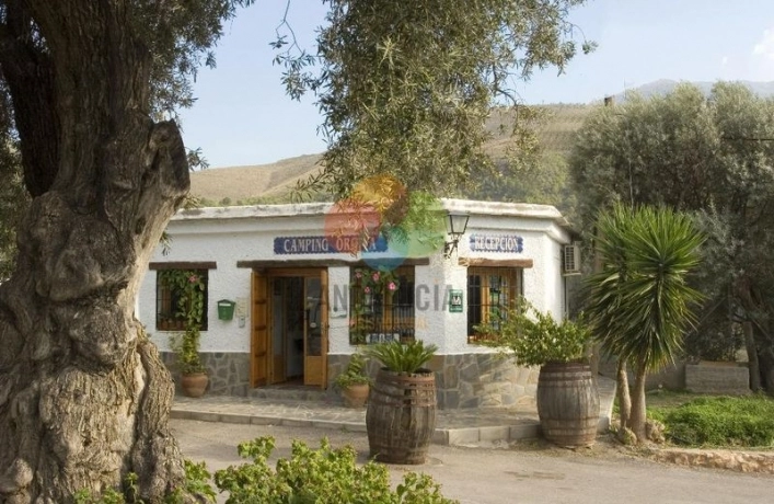 zobacz camping - zdjęcie 10