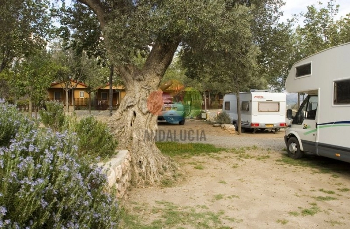 Camping Orgiva - zdjęcie 3