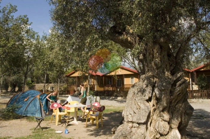 zobacz camping - zdjęcie 2