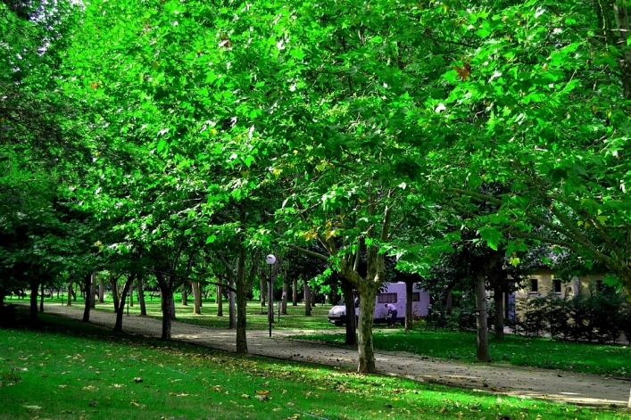 zobacz camping - zdjęcie 13