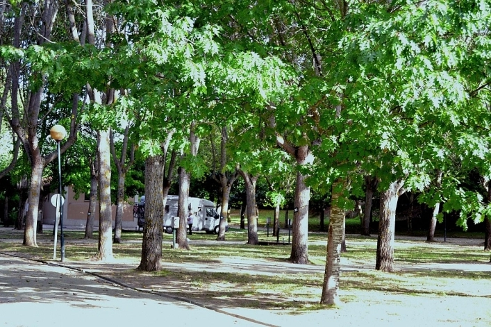 zobacz camping - zdjęcie 9