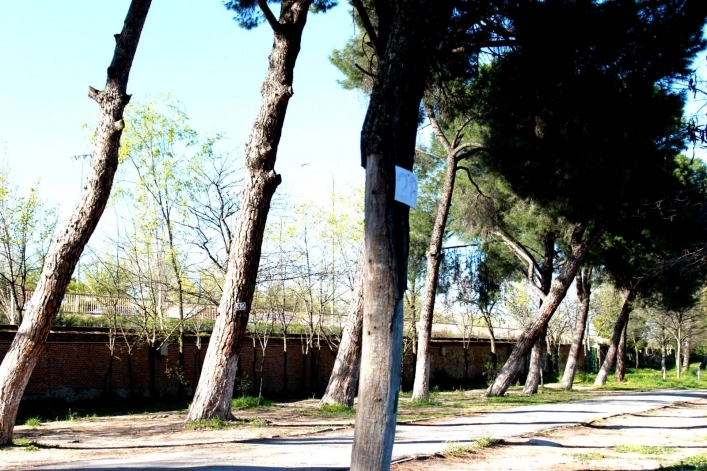 zobacz camping - zdjęcie 14