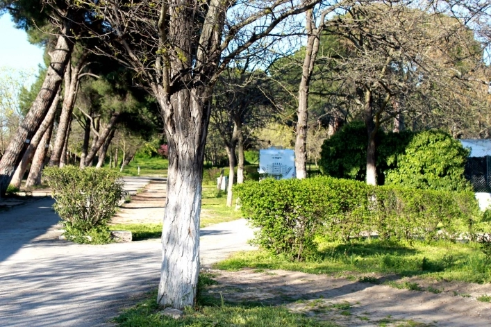 zobacz camping - zdjęcie 12