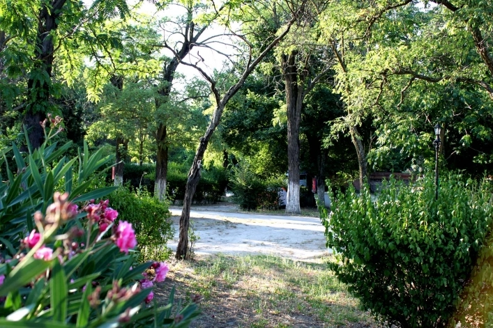 zobacz camping - zdjęcie 10