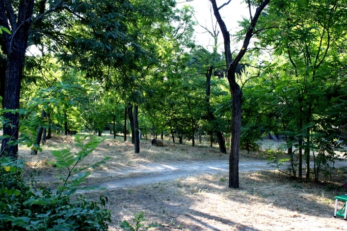 Camping Osuna - zdjęcie 1