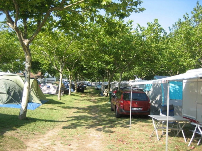 zobacz camping - zdjęcie 6