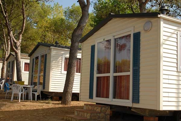 zobacz camping - zdjęcie 6