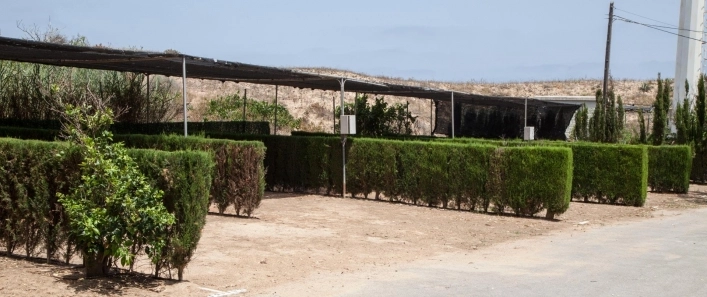 zobacz camping - zdjęcie 9