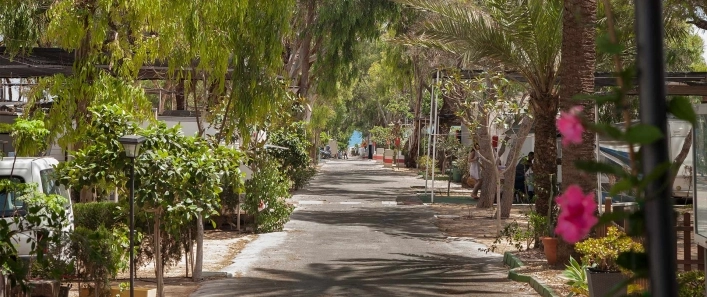 Camping Palm Mar - zdjęcie 2