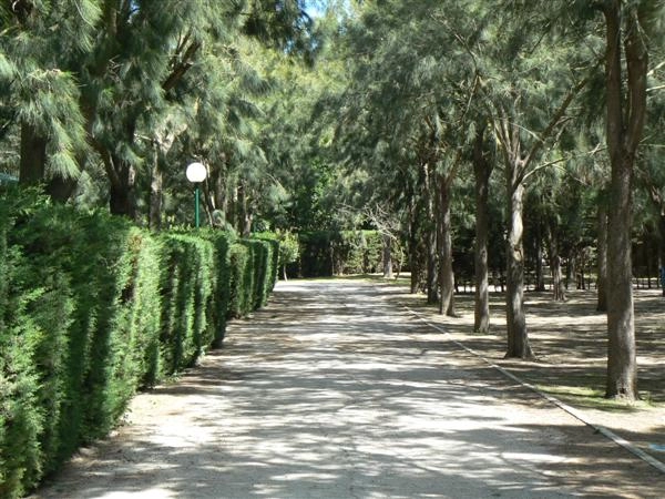 zobacz camping - zdjęcie 12