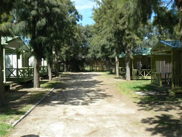 Camping Paloma - zdjęcie 1