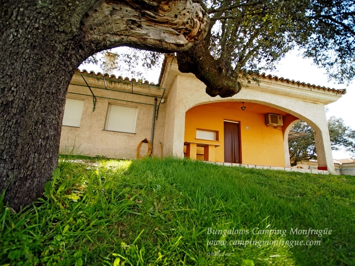 Camping Parque Natural Monfragüe - zdjęcie 1