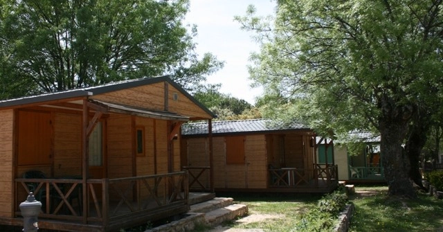 zobacz camping - zdjęcie 4