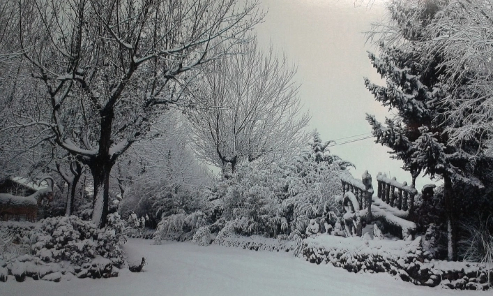 zobacz camping - zdjęcie 13