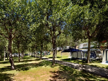 zobacz camping - zdjęcie 18