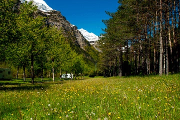 zobacz camping - zdjęcie 14