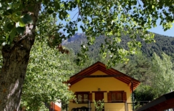 Camping Pineta - zdjęcie 2