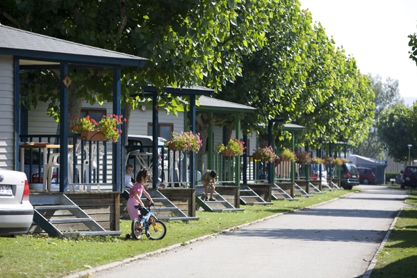 zobacz camping - zdjęcie 9