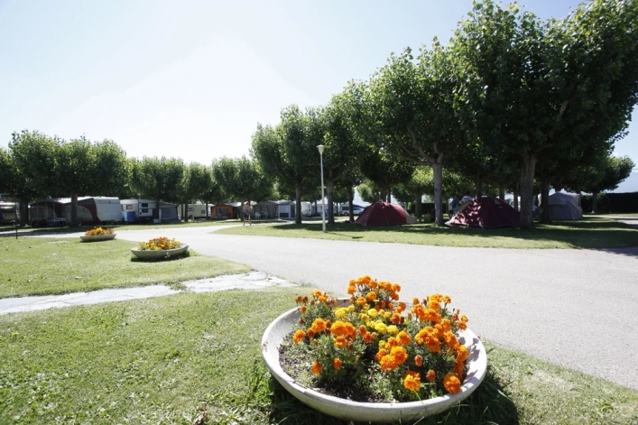 zobacz camping - zdjęcie 7