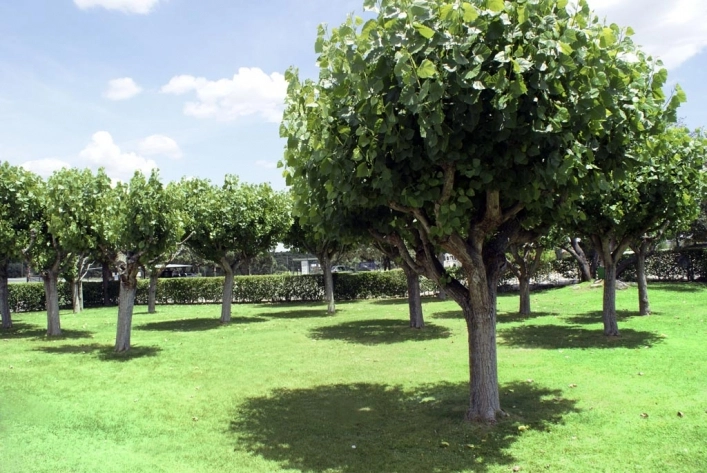 Camping Piscis - zdjęcie 1