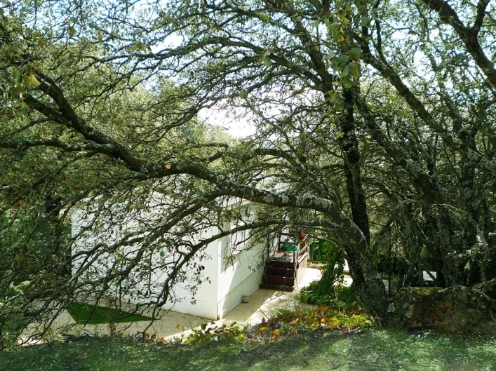 Camping Piscis - zdjęcie 1