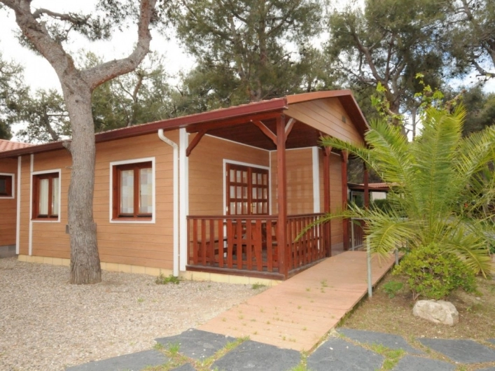 zobacz camping - zdjęcie 21