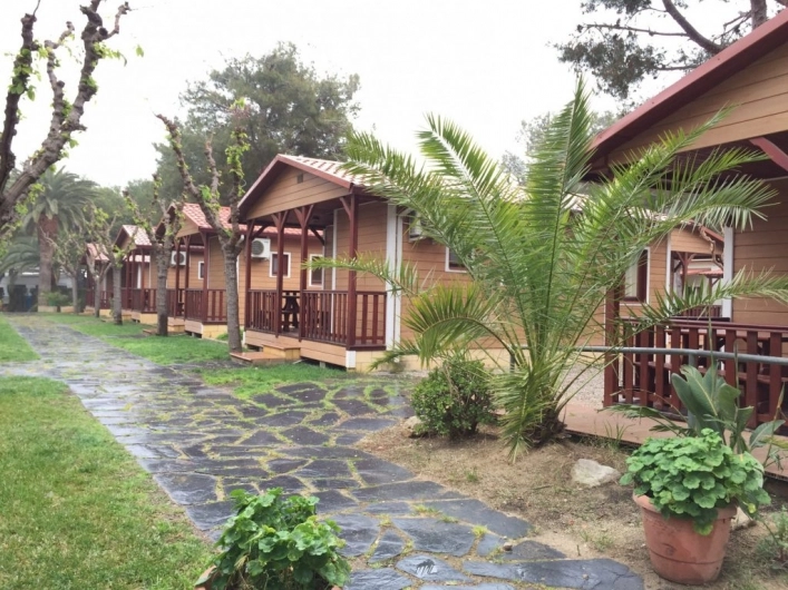 zobacz camping - zdjęcie 15