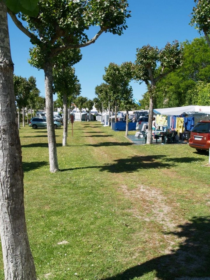 zobacz camping - zdjęcie 29