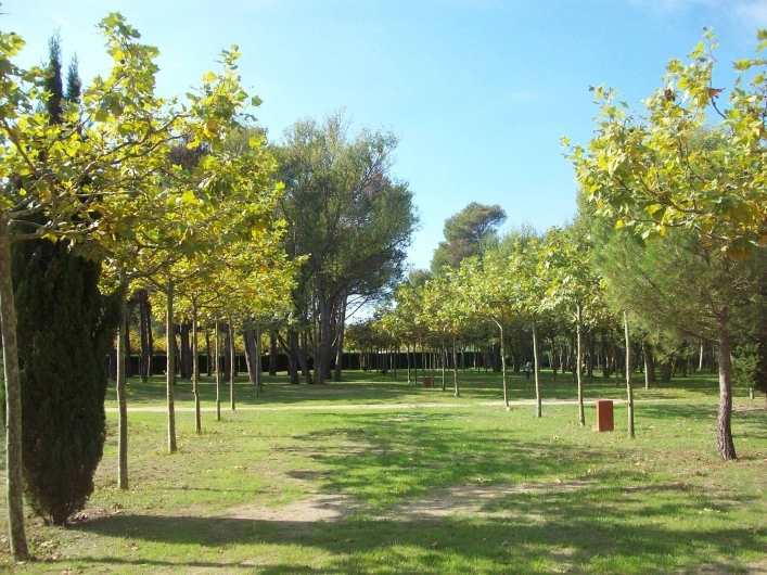 zobacz camping - zdjęcie 9