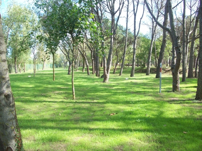 zobacz camping - zdjęcie 7