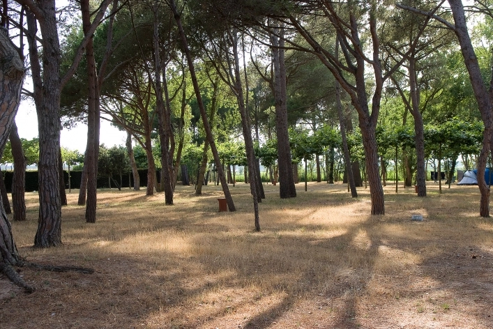 zobacz camping - zdjęcie 4