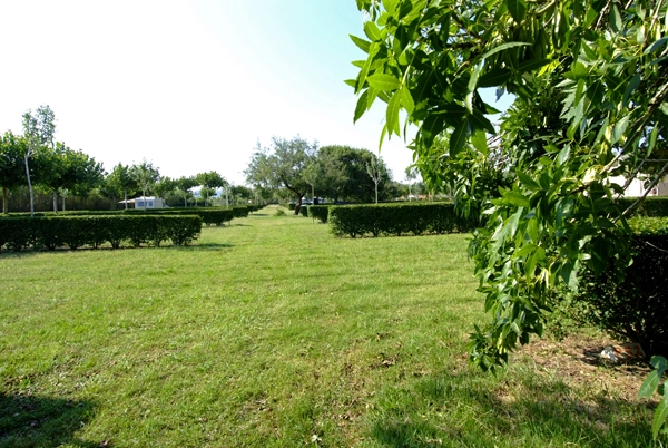 Camping Playa Brava - zdjęcie 1