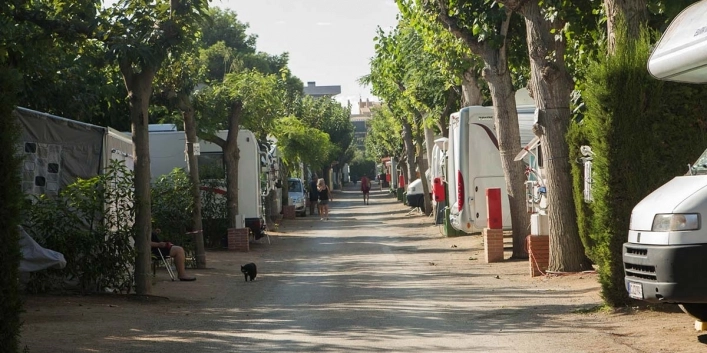 zobacz camping - zdjęcie 8