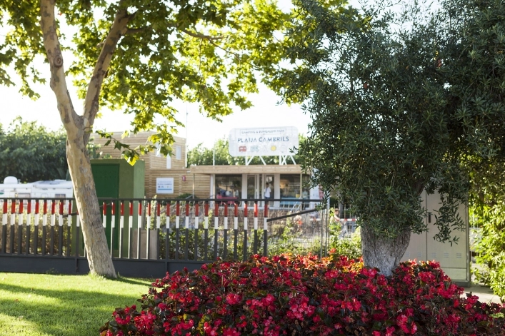 zobacz camping - zdjęcie 50