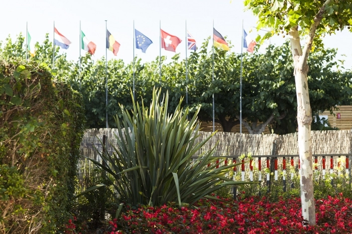 zobacz camping - zdjęcie 51