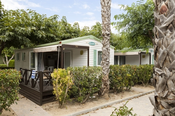 zobacz camping - zdjęcie 78