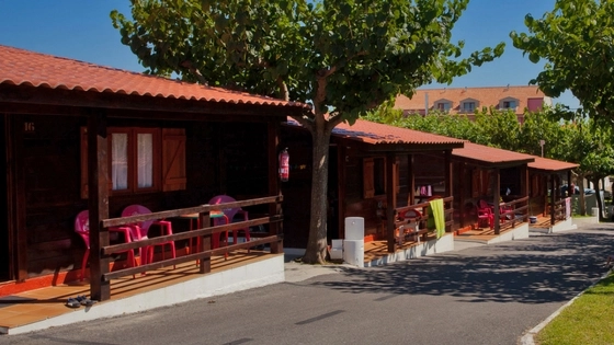 zobacz camping - zdjęcie 14