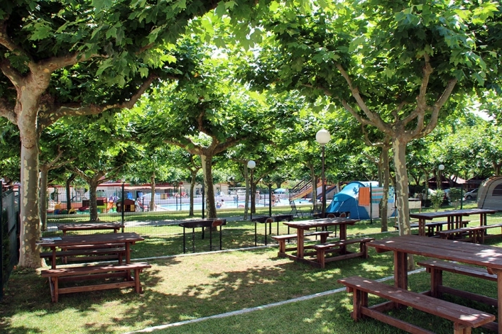 zobacz camping - zdjęcie 11