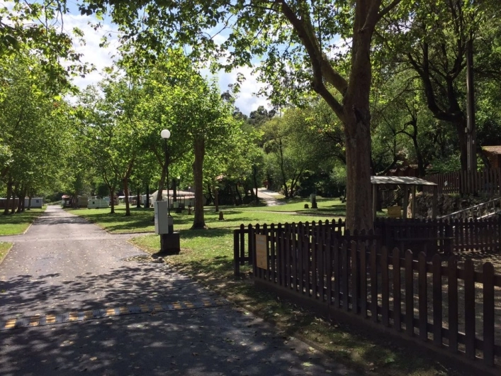 zobacz camping - zdjęcie 33