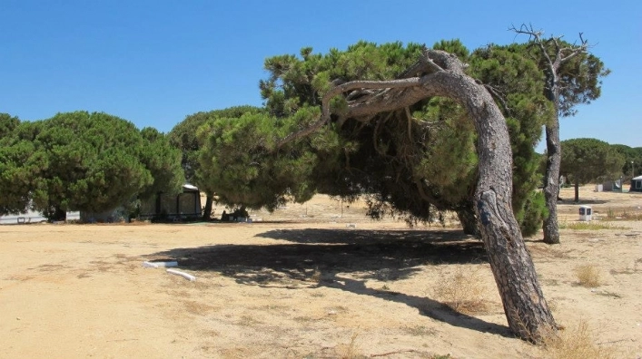 zobacz camping - zdjęcie 21