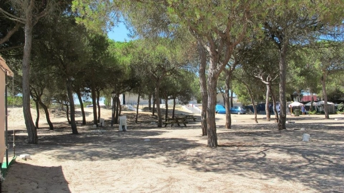 zobacz camping - zdjęcie 14