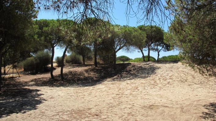 Camping Playa De Mazagón - zdjęcie 2