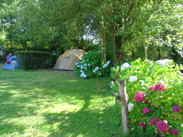 zobacz camping - zdjęcie 9