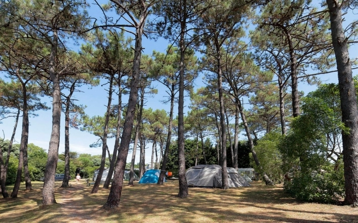 zobacz camping - zdjęcie 13