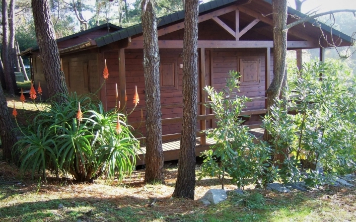 zobacz camping - zdjęcie 1