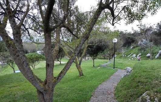 zobacz camping - zdjęcie 13