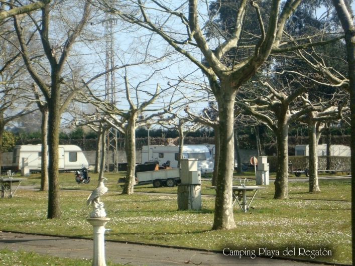 zobacz camping - zdjęcie 26