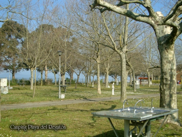 zobacz camping - zdjęcie 15