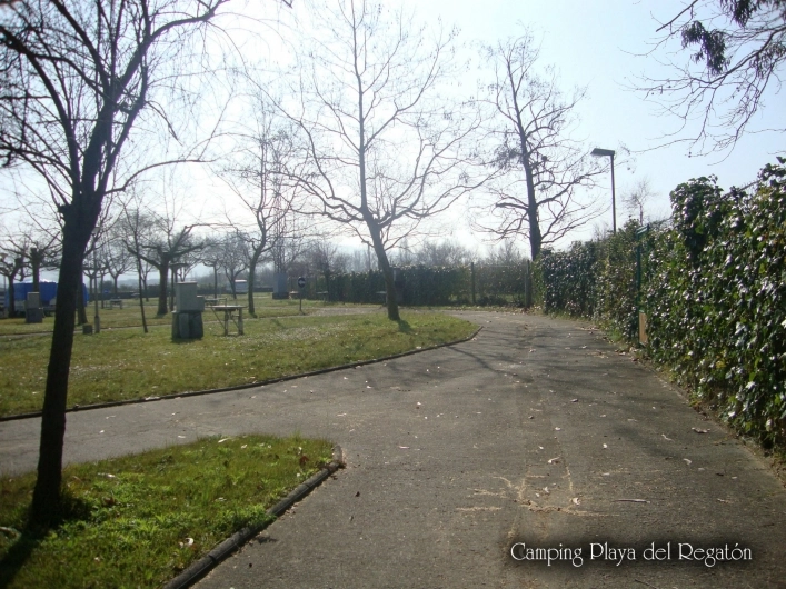 zobacz camping - zdjęcie 8