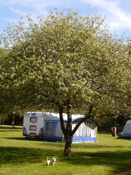 zobacz camping - zdjęcie 3